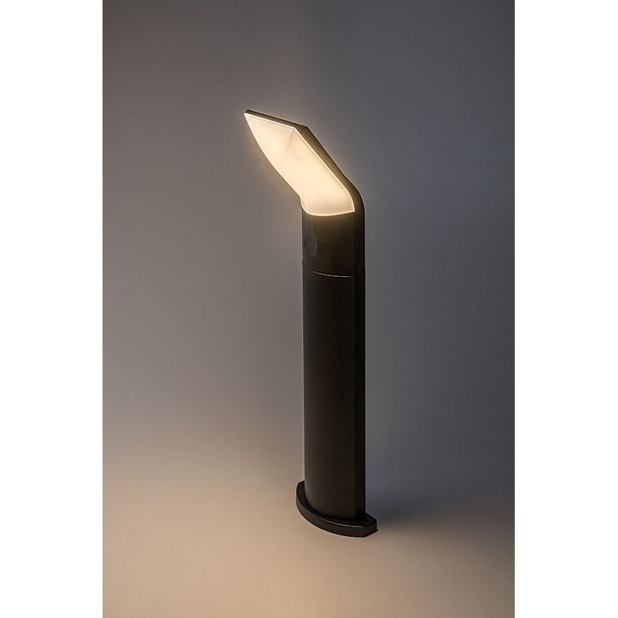 Rabalux - Lampe extérieure LED/10W/230V IP54