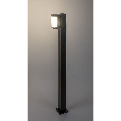 Rabalux - Lampe extérieure LED/10W/230V IP54