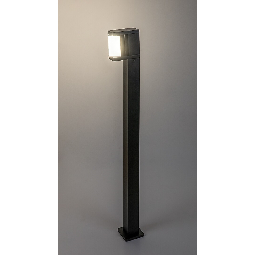 Rabalux - Lampe extérieure LED/10W/230V IP54