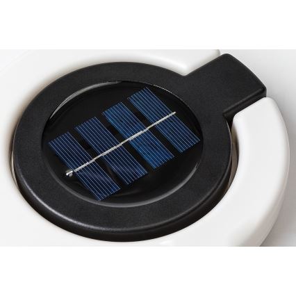 Rabalux - Éclairage solaire LED/0,05W/1,2V IP44 300 mAh