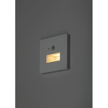 Rabalux - Luminaire d'escalier LED avec détecteur de mouvement et capteur crépusculaire LED/1W/230V 3000/4500/6500K blanc