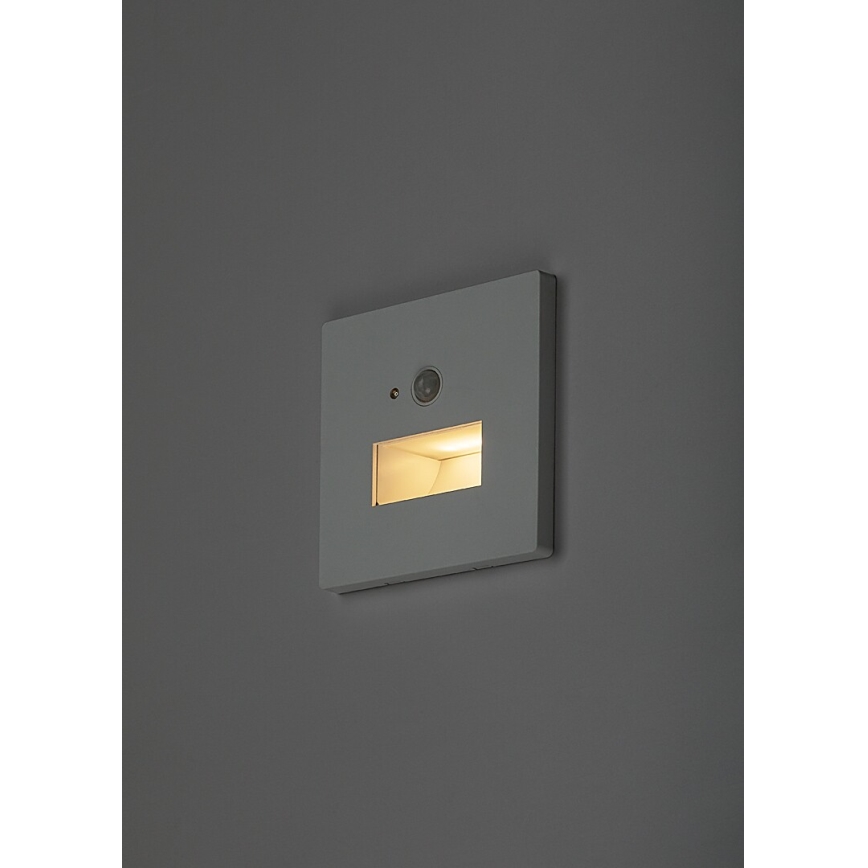 Rabalux - Luminaire d'escalier LED avec détecteur de mouvement et capteur crépusculaire LED/1W/230V 3000/4500/6500K blanc
