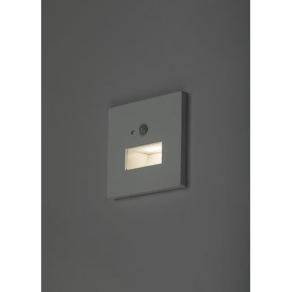 Rabalux - Luminaire d'escalier LED avec détecteur de mouvement et capteur crépusculaire LED/1W/230V 3000/4500/6500K blanc