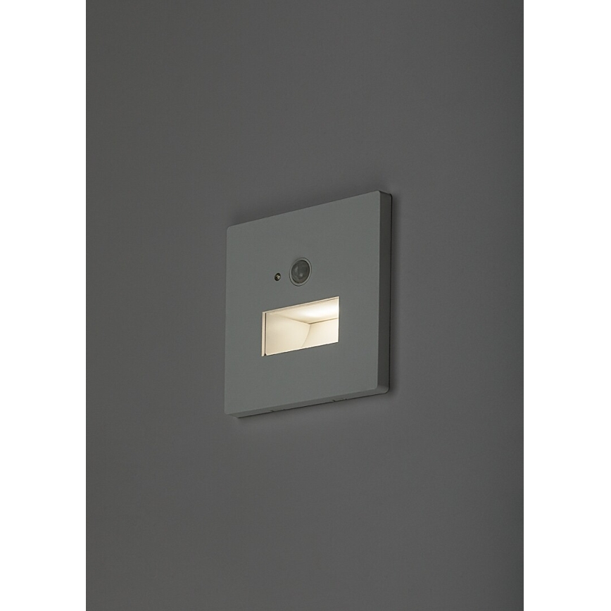 Rabalux - Luminaire d'escalier LED avec détecteur de mouvement et capteur crépusculaire LED/1W/230V 3000/4500/6500K blanc