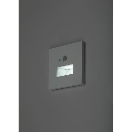 Rabalux - Luminaire d'escalier LED avec détecteur de mouvement et capteur crépusculaire LED/1W/230V 3000/4500/6500K blanc