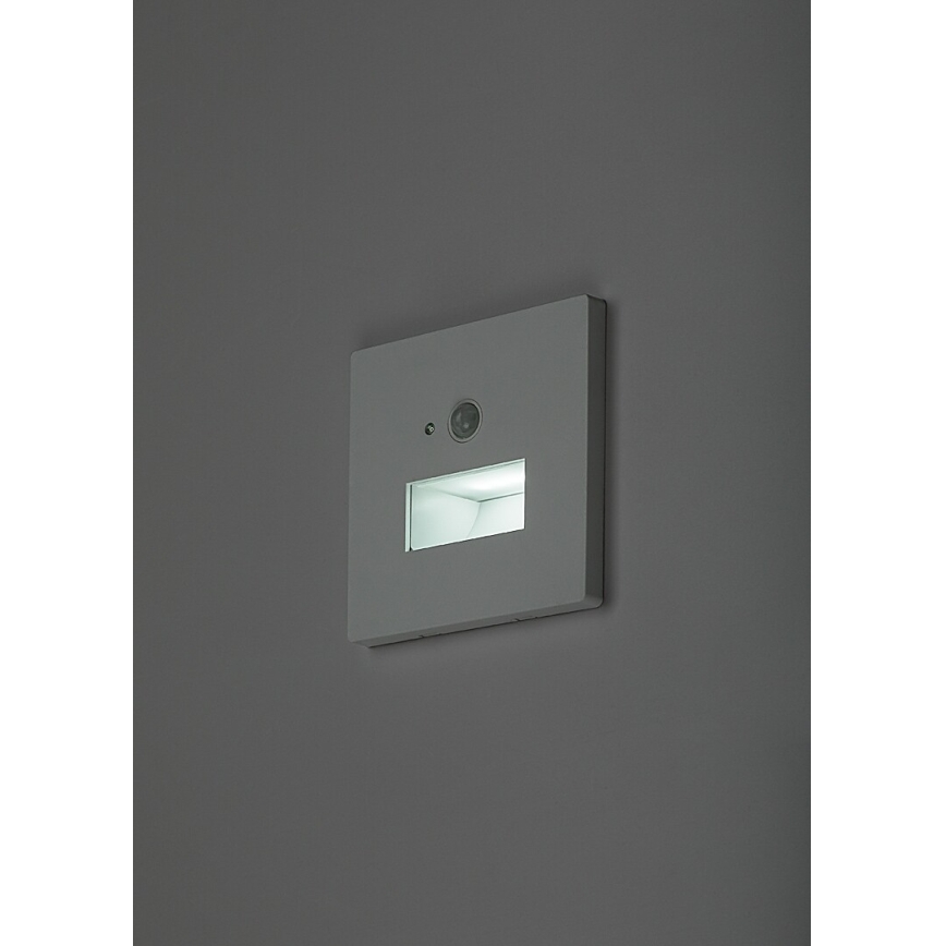 Rabalux - Luminaire d'escalier LED avec détecteur de mouvement et capteur crépusculaire LED/1W/230V 3000/4500/6500K blanc