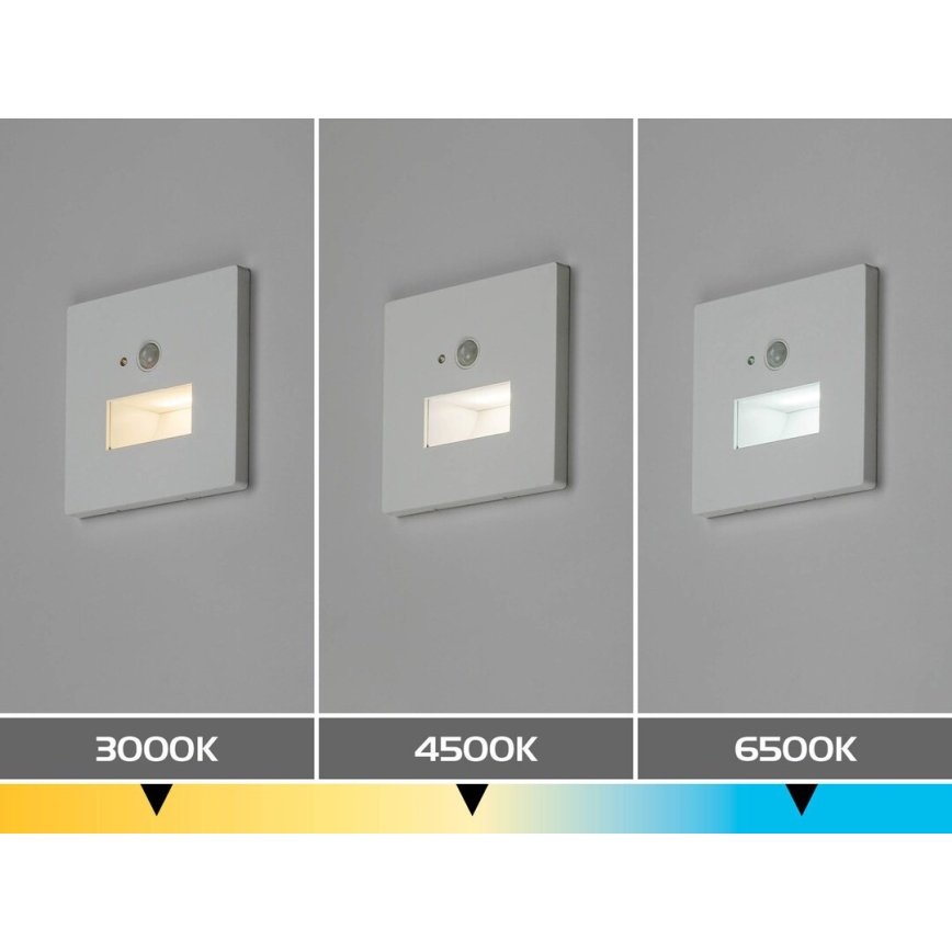Rabalux - Luminaire d'escalier LED avec détecteur de mouvement et capteur crépusculaire LED/1W/230V 3000/4500/6500K blanc