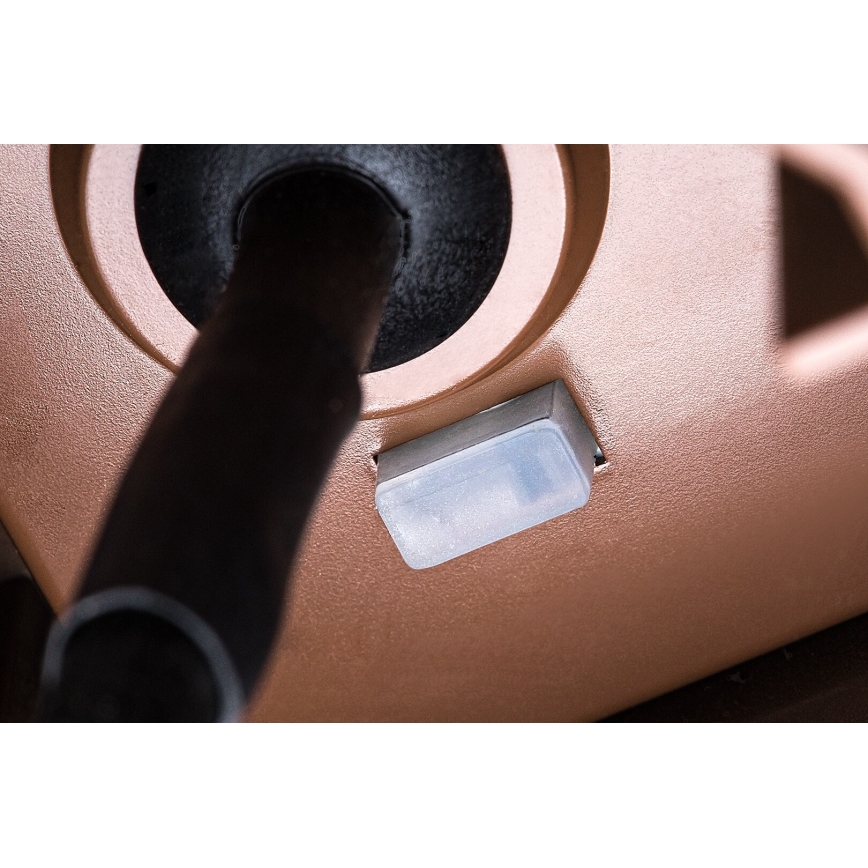 Rabalux - Applique murale d'extérieur LED/9W/230V IP65 marron