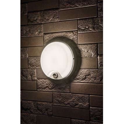 Rabalux - Applique murale d'extérieur LED avec capteur, 18 W, 230 V, IP65, noire