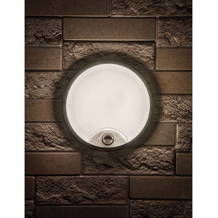 Rabalux - Applique murale d'extérieur LED avec capteur, 18 W, 230 V, IP65, noire