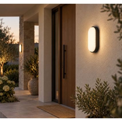 Rabalux - LED Applique murale d'extérieur LED/14W/230V IP54 noire