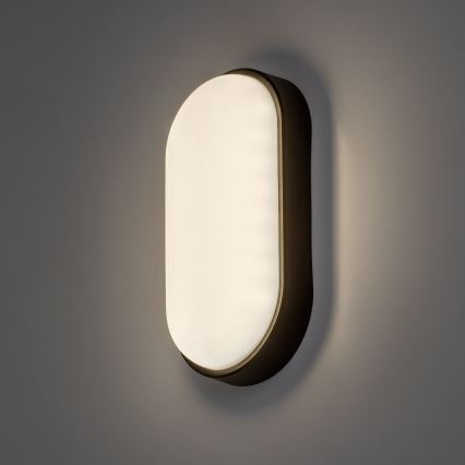 Rabalux - LED Applique murale d'extérieur LED/14W/230V IP54 noire