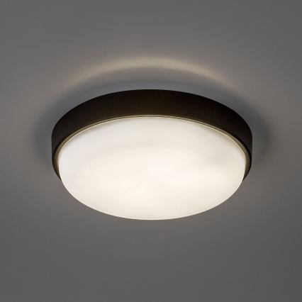 Rabalux - Plafonnier d'extérieur LED/14W/230V IP54 noir