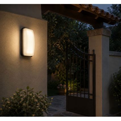 Rabalux - Applique murale d'extérieur LED/20W/230V 4000K IP65