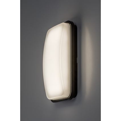 Rabalux - Applique murale d'extérieur LED/20W/230V 4000K IP65