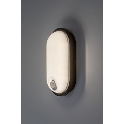 Rabalux - Plafonnier LED d'extérieur avec détecteur de mouvement LED/15W/230V IP65 noir