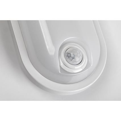 Rabalux - Plafonnier extérieur LED avec détecteur LED/15W/230V IP65 blanc