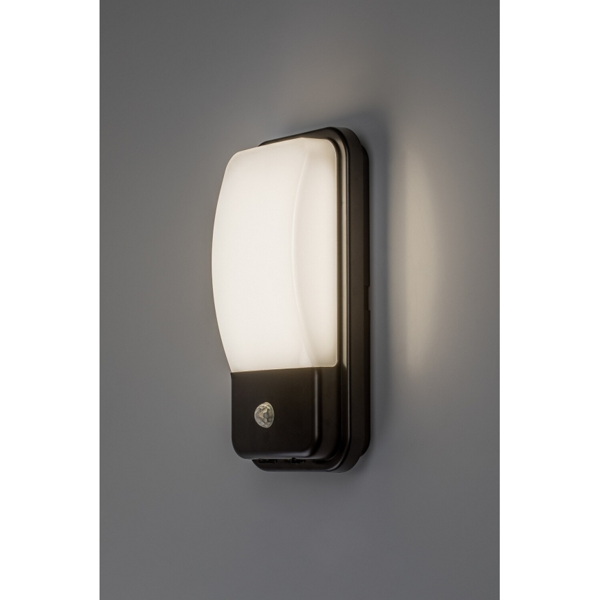 Rabalux - Luminaire mural d'extérieur LED avec détecteur de mouvement LED/20W/230V IP65