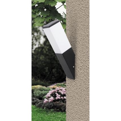 Rabalux - Applique murale extérieure 1xE27/60W/230V IP44