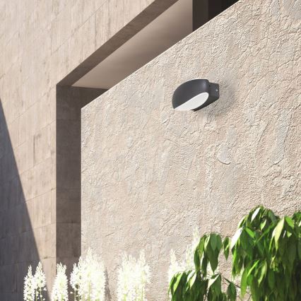 Rabalux 8705 - Applique murale LED extérieure BRISTOL 1xLED/9W IP54