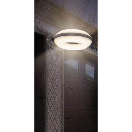 Rabalux 8770 - Applique murale LED extérieure GRAZ 1xLED/12W IP54