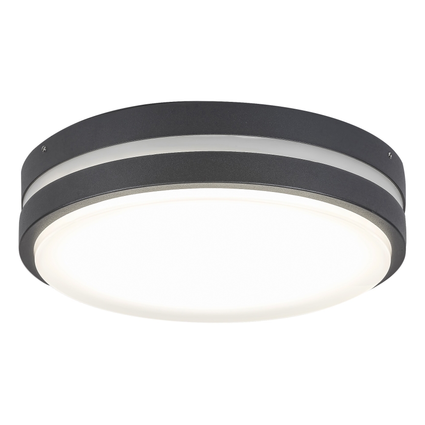 Rabalux 8848 - Applique murale extérieure HAMBURG LED/12W/230V IP44