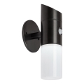 Rabalux - Applique murale solaire RGB avec détecteur LED/1W/3,7V IP44 noir 1200 mAh