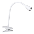 Rabalux - Lampe de bureau à pince LED/4,5W/230V