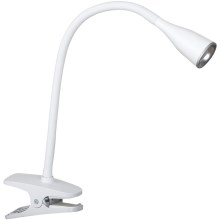 Rabalux - Lampe de table LED à pince 1xLED/4,5W/230V