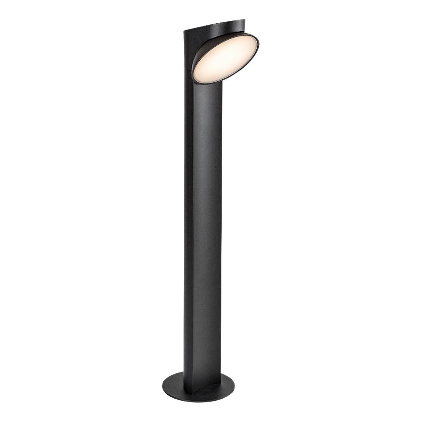 Rabalux - Lampe extérieure LED/12W/230V IP54