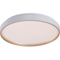 Rabalux - LED Dimmable plafonnier LED/34W/230V 3000-6500K Ø 38 cm + télécommande