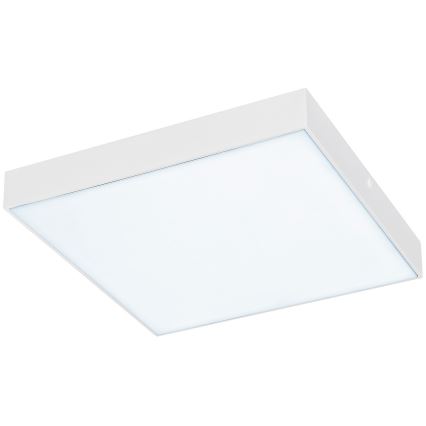 Rabalux - LED Plafonnier LED/24W/230V 3000-6000K IP44 blanc