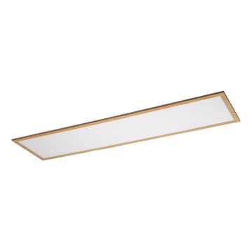 Rabalux - LED Surface-mounted panel LED/40W/230V 4000K