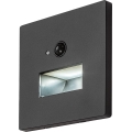 Rabalux - Luminaire d'escalier LED avec capteur de mouvement et capteur crépusculaire LED/1W/230V 3000/4500/6500K noir