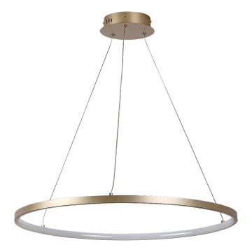 Rabalux - Lustre LED suspendu sur câble LED/55W/230V 3000K