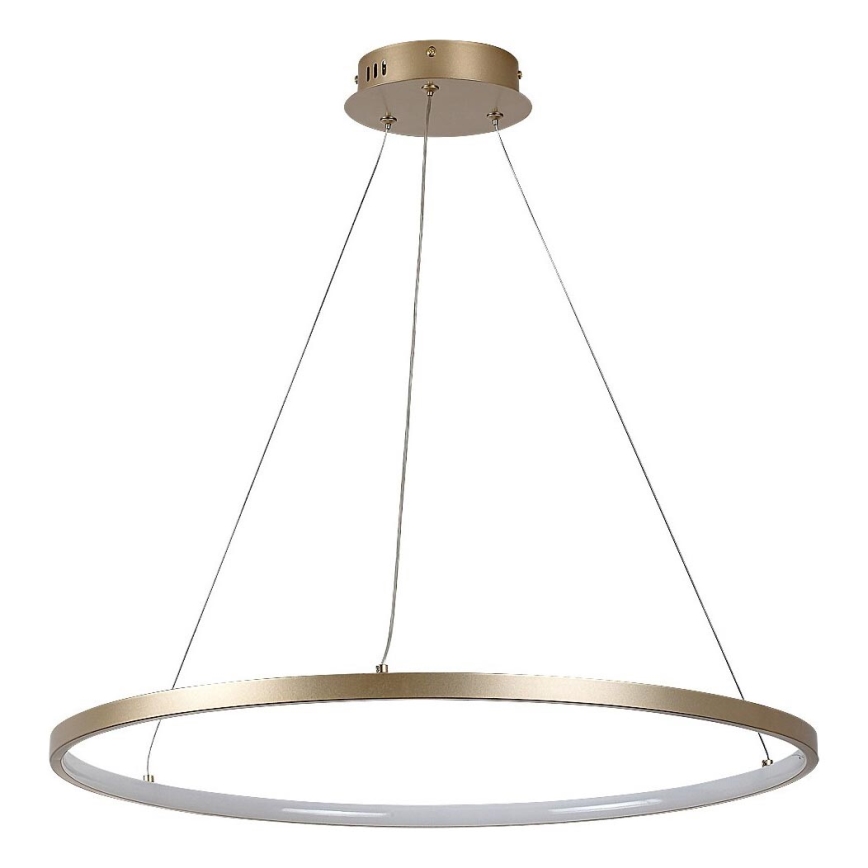 Rabalux - Lustre LED suspendu sur câble LED/55W/230V 3000K