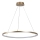 Rabalux - Lustre LED suspendu sur câble LED/55W/230V 3000K