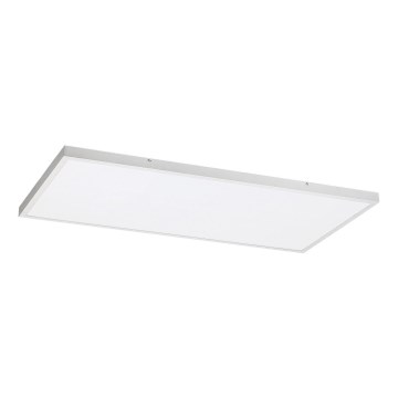 Rabalux - Panneau en saillie LED/80W/230V 4000K 120x60 cm