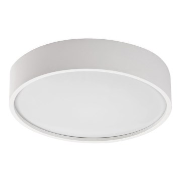 Rabalux - Plafonnier avec détecteur LED/19W/230V IP44 4000K diam. 28,5 cm blanc