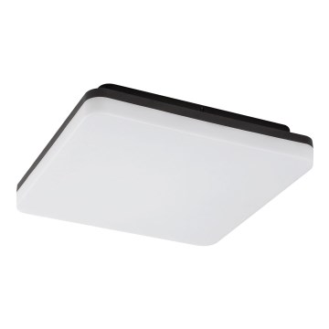 Rabalux - Plafonnier de salle de bain LED/24W/230V IP54