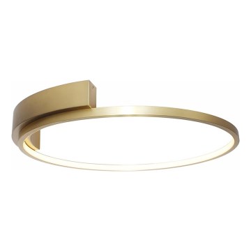 Rabalux - Plafonnier LED/23W/230V