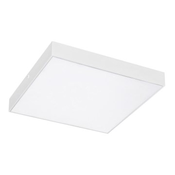 Rabalux - Plafonnier LED/24W/230V 2800-6000K IP44 blanc 40x30 cm