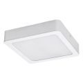 Rabalux - Plafonnier LED/24W/230V 3000K 22x22 cm blanc