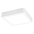 Rabalux - Plafonnier LED/24W/230V 4000K 22x22 cm blanc