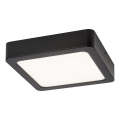 Rabalux - Plafonnier LED/24W/230V 4000K 22x22 cm noir