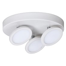 Rabalux - Plafonnier LED 3xLED/6W/230V blanc