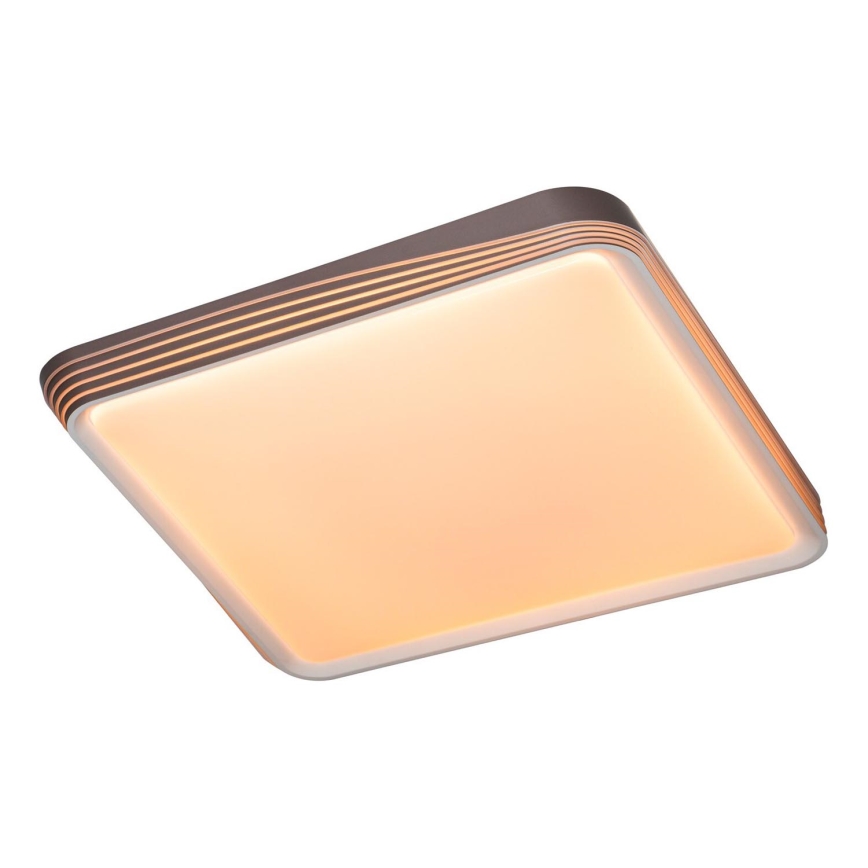 Rabalux - Plafonnier LED/40W/230V 3000K 48x48 cm