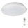 Rabalux - Plafonnier LED dimmable avec télécommande RGB LED/32W/230V Ø 40 cm