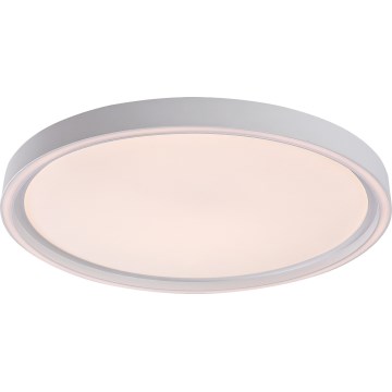 Rabalux - Plafonnier LED dimmable LED/31W/230V IP40 3000-6500K Ø 41,5 cm + télécommande