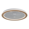 Rabalux - Plafonnier LED dimmable LED/34W/230V 3000-6500K Ø 51 cm + télécommande